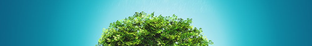 3D render of a grassy landscape with a tree, rainbow and rainclo 3D render of a grassy curved landscape with a tree, rainbow and raincloud