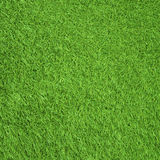 green-gress-26105731